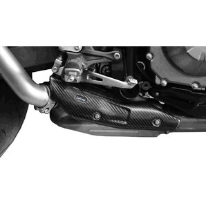 Auspuffe > Auspuffzubehör Carbon-Blende für Kawasaki Z 900 Leo Vince