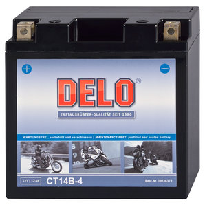 Batterien > Batterien f. Fahrzeuge DELO Mikrovlies-Batterie befüllt und verschlossen Delo